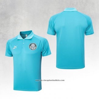 Palmeiras Shirt Polo 2023-2024 Green